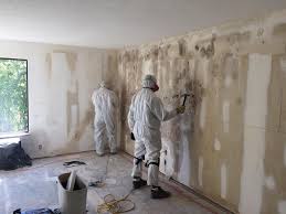 Mold Odor Removal Services in Wekiwa Springs, FL